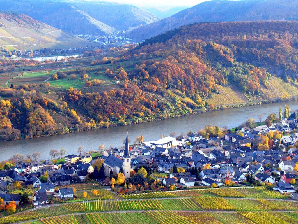 Hotel Ferienweingut Rainer Beitzel Kröv Esterno foto