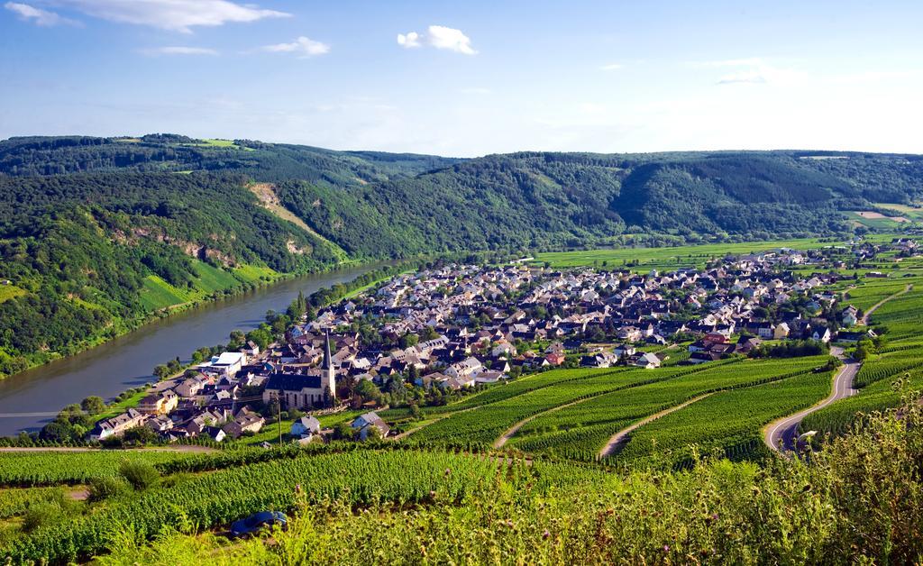 Hotel Ferienweingut Rainer Beitzel Kröv Esterno foto