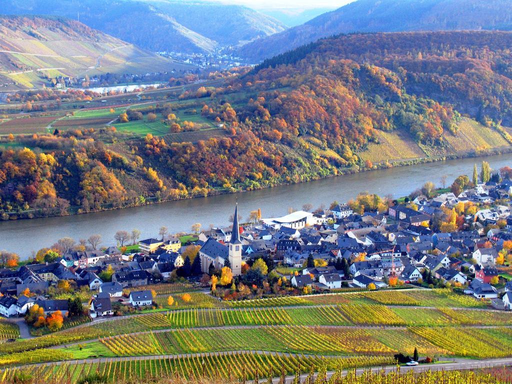 Hotel Ferienweingut Rainer Beitzel Kröv Esterno foto