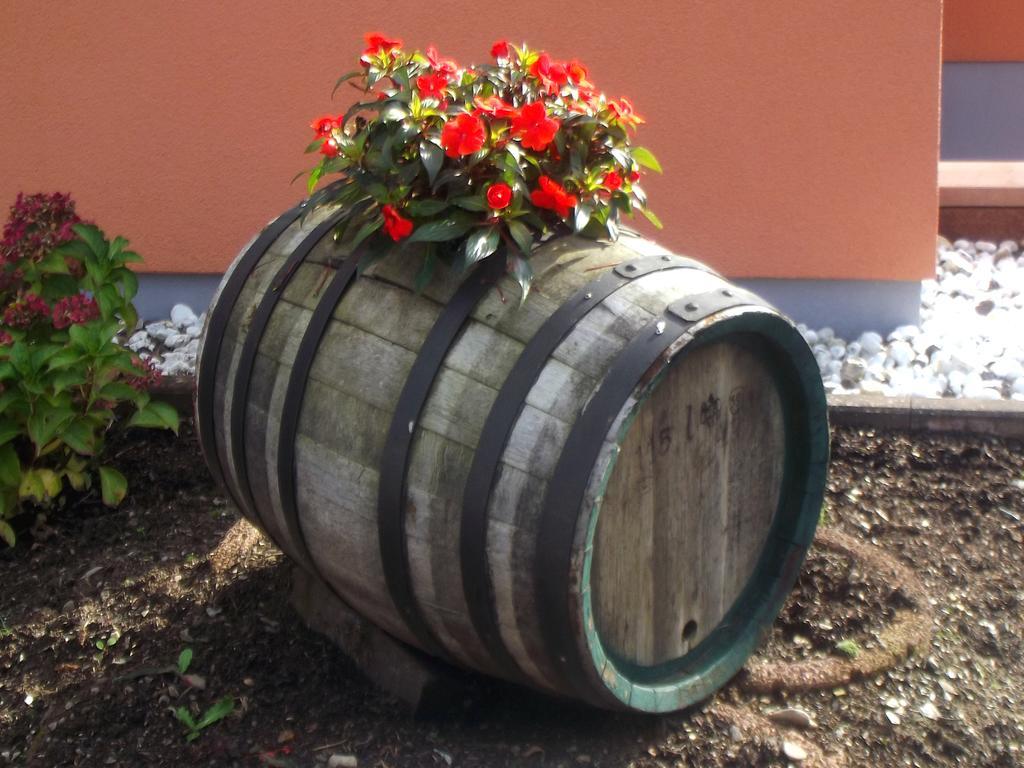 Hotel Ferienweingut Rainer Beitzel Kröv Esterno foto